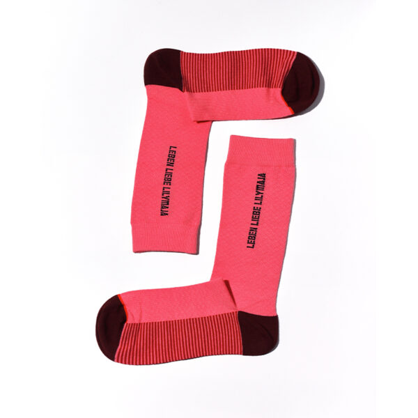 1 Paar Casual Socken Gr. 35-44 S035